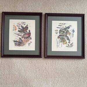 Arthur Singer Vintage Framed Bird Art Prints Set